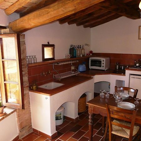 Podere Patrignone Konuk evi Castellina in Chianti Oda fotoğraf