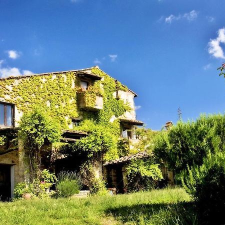 Podere Patrignone Konuk evi Castellina in Chianti Dış mekan fotoğraf
