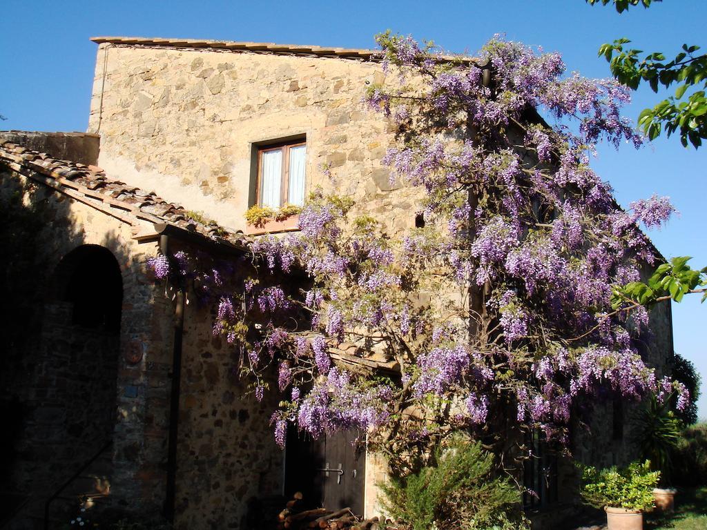 Podere Patrignone Konuk evi Castellina in Chianti Dış mekan fotoğraf