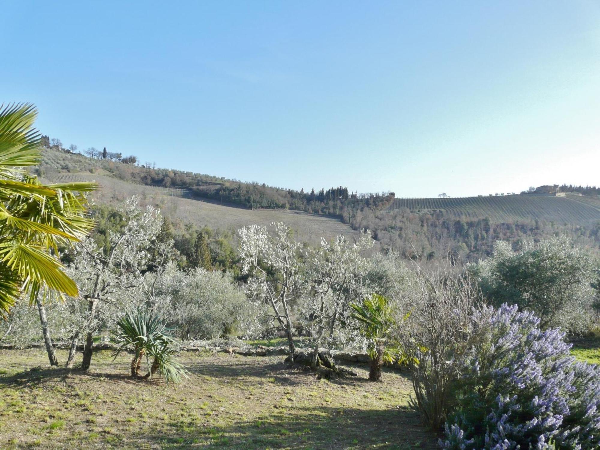 Podere Patrignone Konuk evi Castellina in Chianti Oda fotoğraf