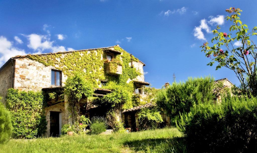 Podere Patrignone Konuk evi Castellina in Chianti Dış mekan fotoğraf