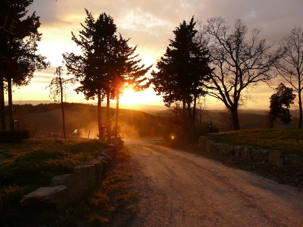 Podere Patrignone Konuk evi Castellina in Chianti Dış mekan fotoğraf