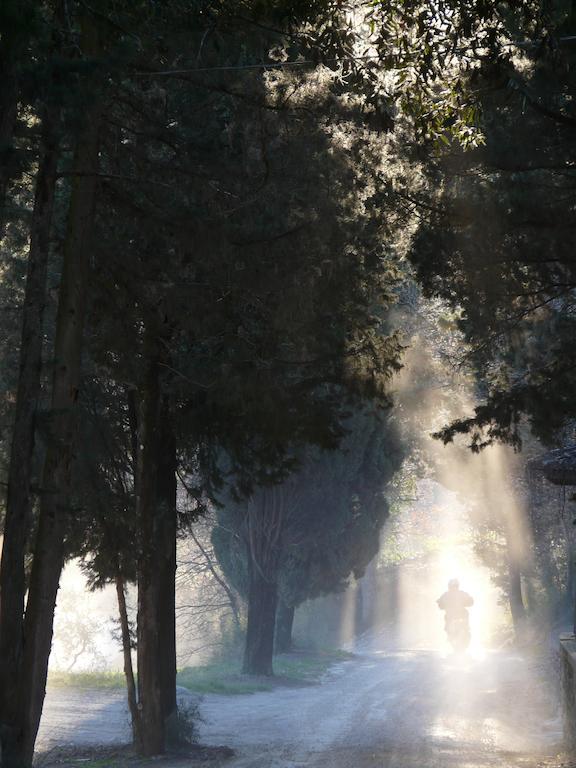 Podere Patrignone Konuk evi Castellina in Chianti Dış mekan fotoğraf